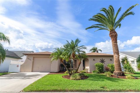 A home in PORT RICHEY