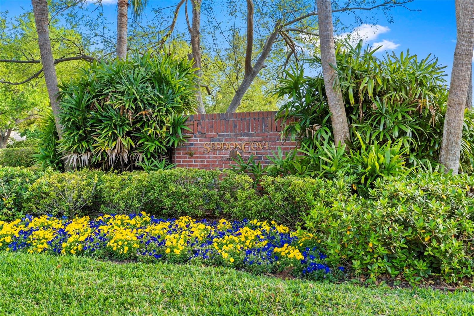 SEDDON COVE A CONDO PHAS - Residential