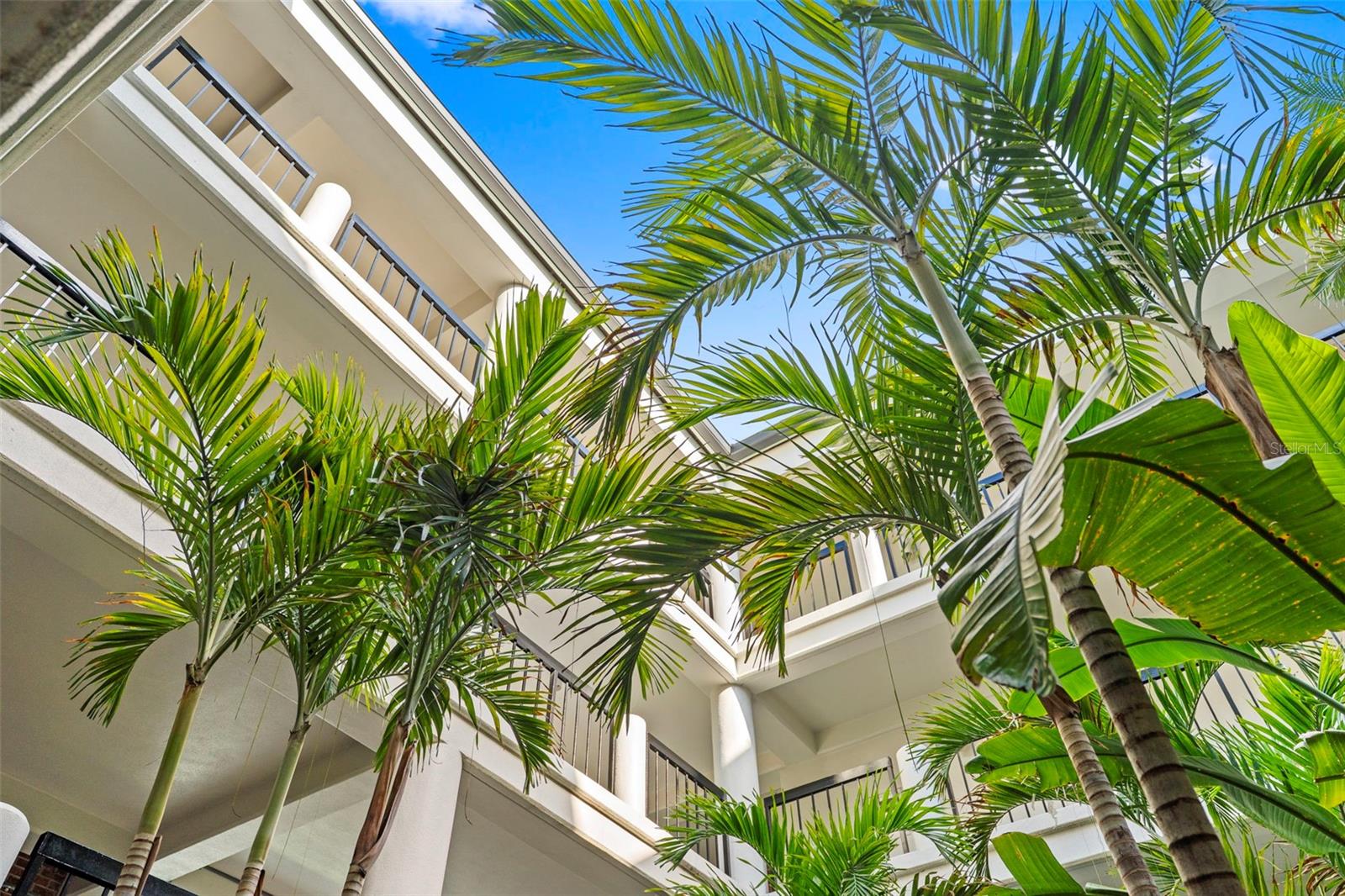 SEDDON COVE A CONDO PHAS - Residential