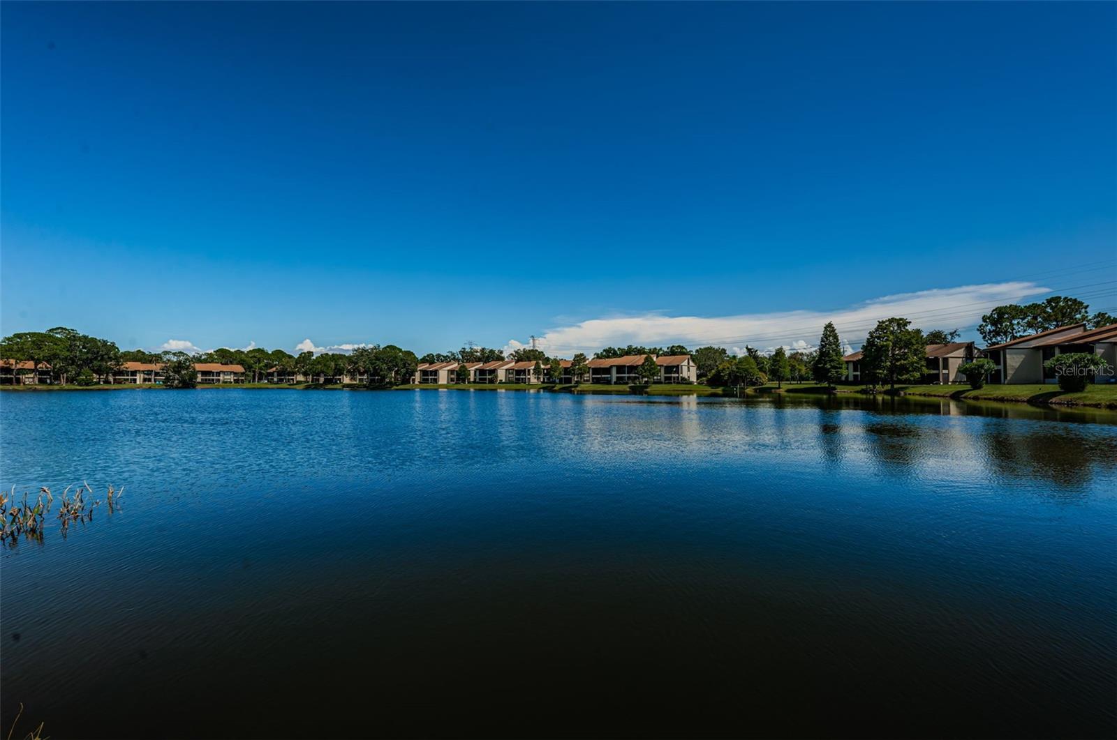 EAST LAKE WOODLANDS WOODLAKE RUN - Residential Lease