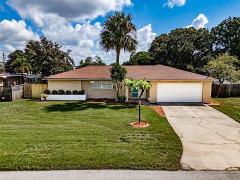 A home in TAMPA