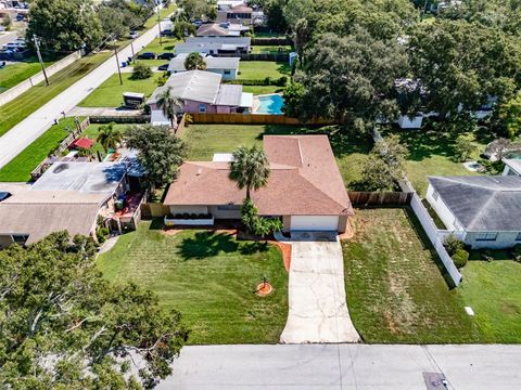 A home in TAMPA