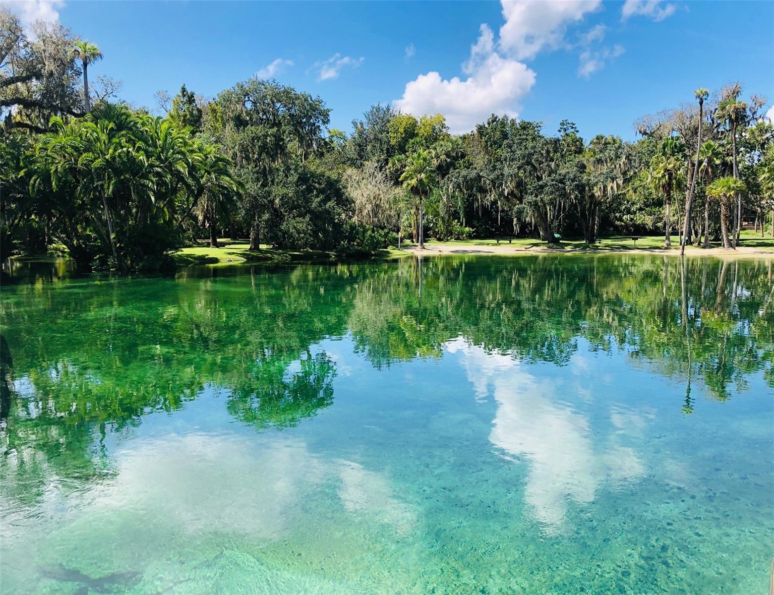 SPRINGS THE LIVE OAK VILLAGE 1ST ADD - Residential