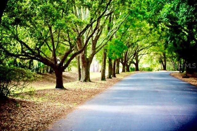 SPRINGS THE LIVE OAK VILLAGE 1ST ADD - Residential