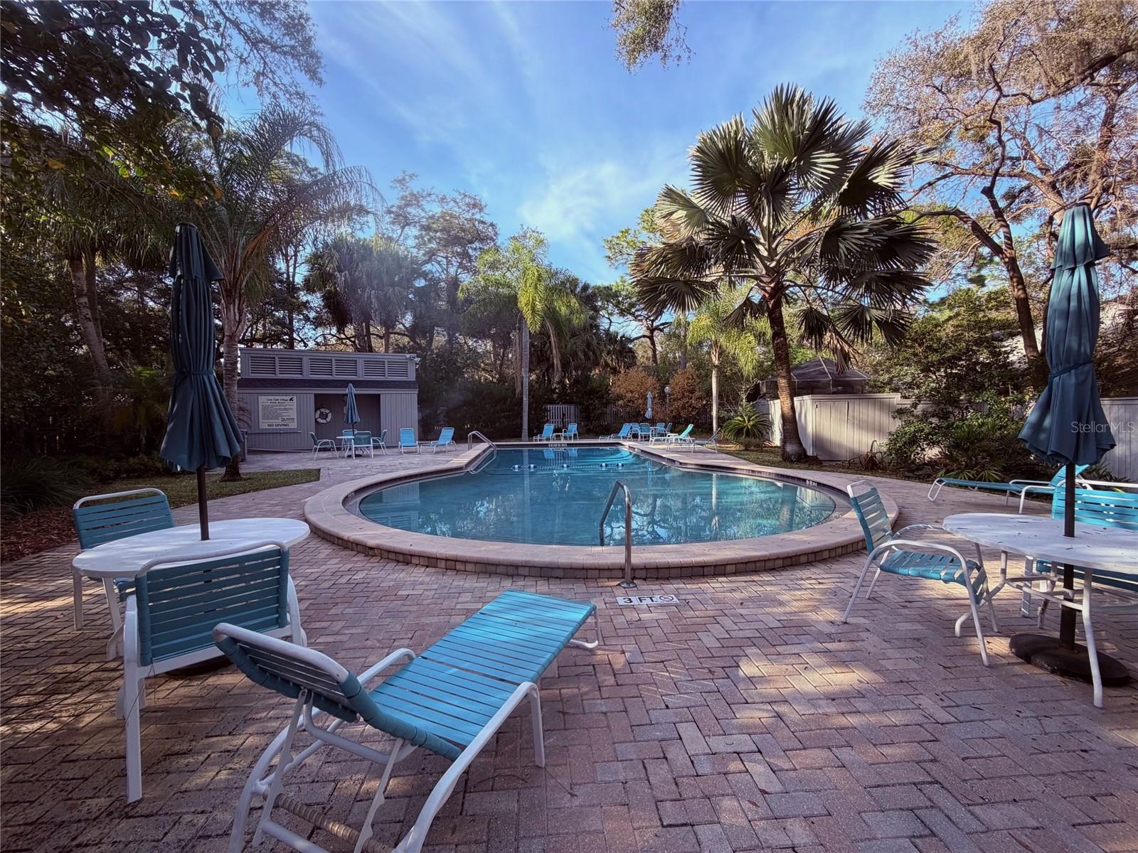 SPRINGS THE LIVE OAK VILLAGE 1ST ADD - Residential