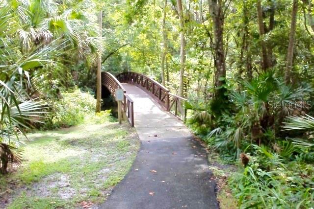 SPRINGS THE LIVE OAK VILLAGE 1ST ADD - Residential