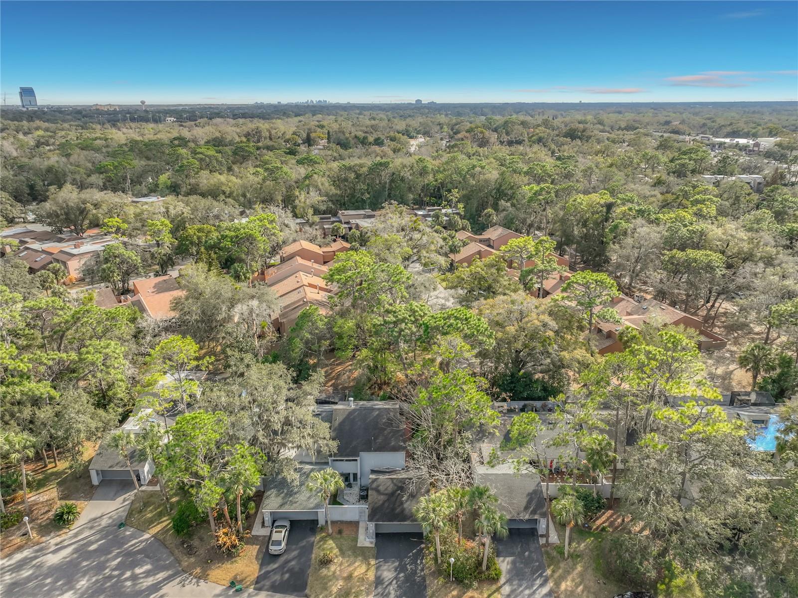 SPRINGS THE LIVE OAK VILLAGE 1ST ADD - Residential