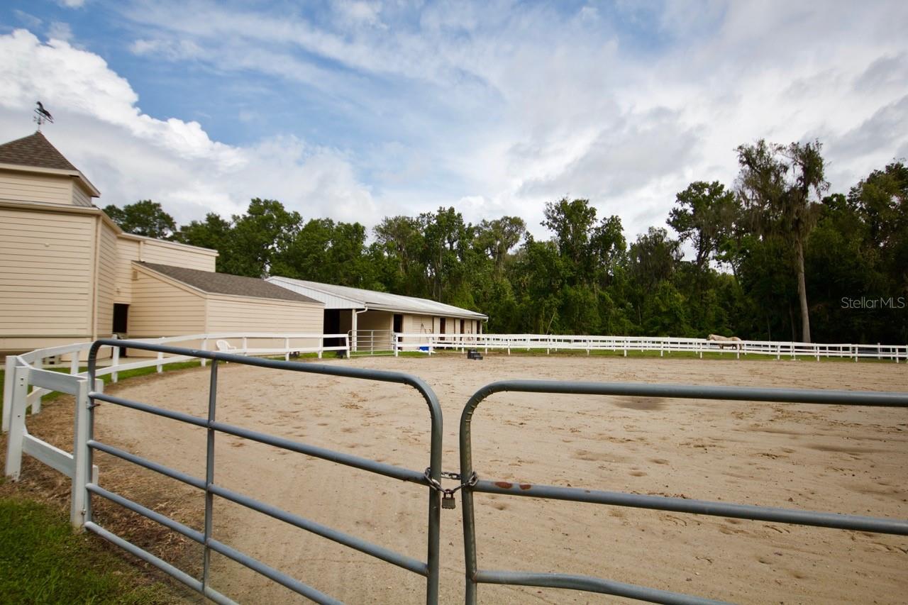 SPRINGS THE LIVE OAK VILLAGE 1ST ADD - Residential