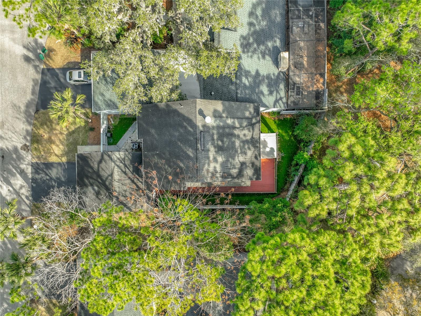 SPRINGS THE LIVE OAK VILLAGE 1ST ADD - Residential