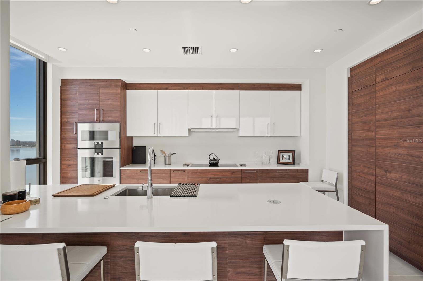 HYDE PARK HOUSE CONDOMINIUM - Residential