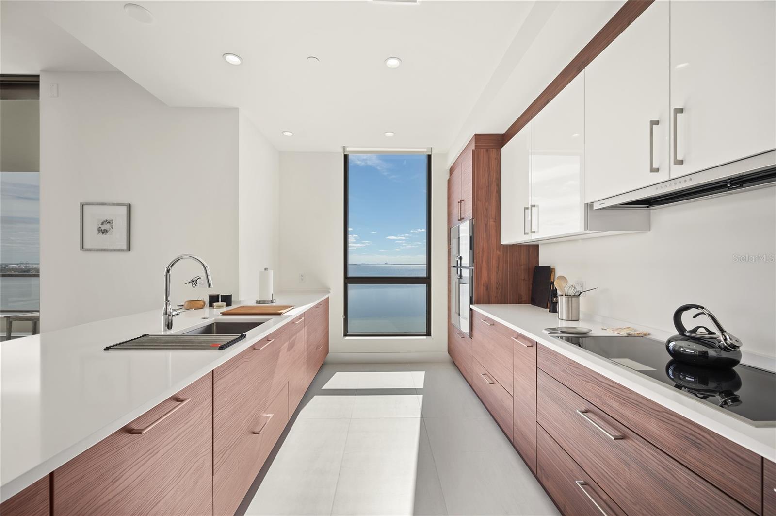 HYDE PARK HOUSE CONDOMINIUM - Residential