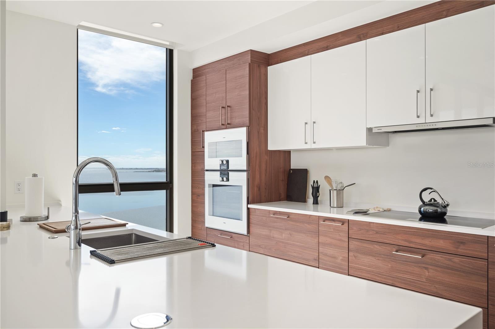 HYDE PARK HOUSE CONDOMINIUM - Residential