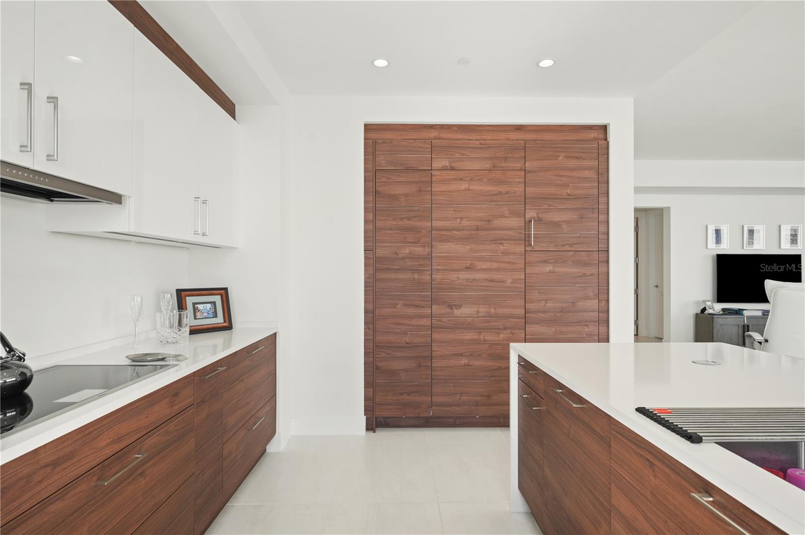 HYDE PARK HOUSE CONDOMINIUM - Residential