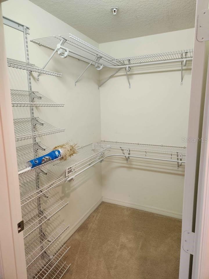 PALMA SOLA TRACE - Residential Lease