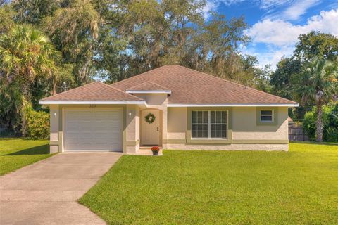 329 DESOTO AVENUE DE LEON SPRINGS FL 32130