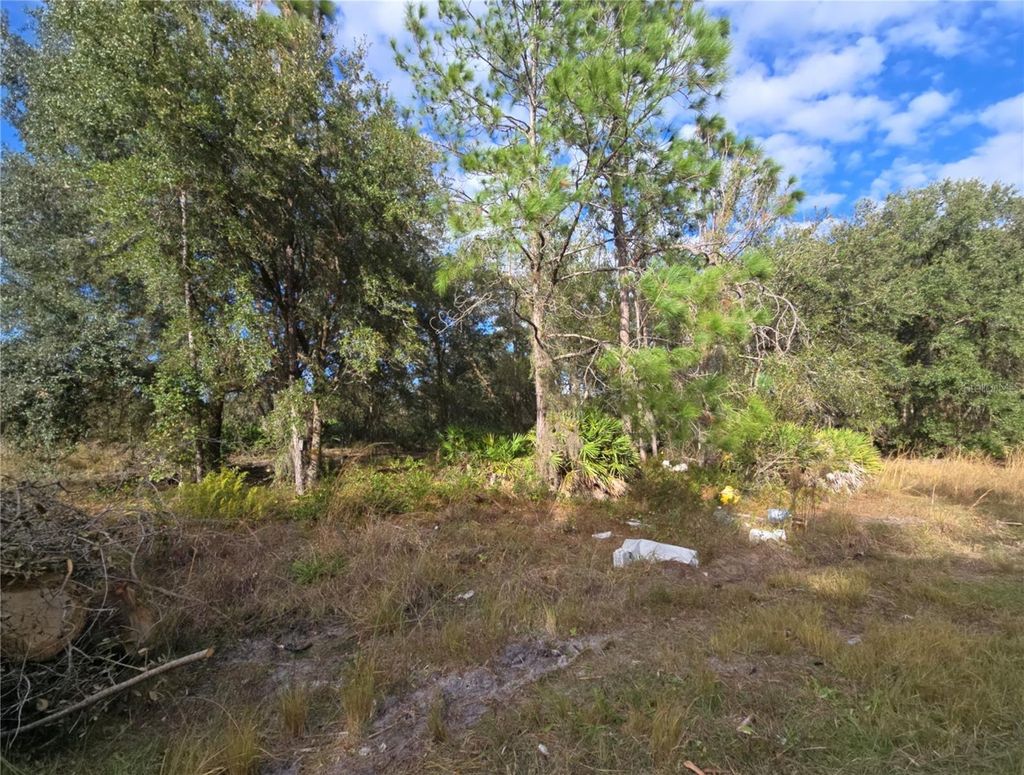 Photo of 211 Starling Court, Kissimmee, FL 34759 (MLS # S5142437)