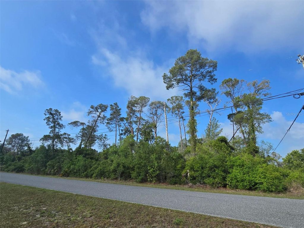 Photo of 10044 Noddy Tern Road, Weeki Wachee, FL 34613 (MLS # W7885723)