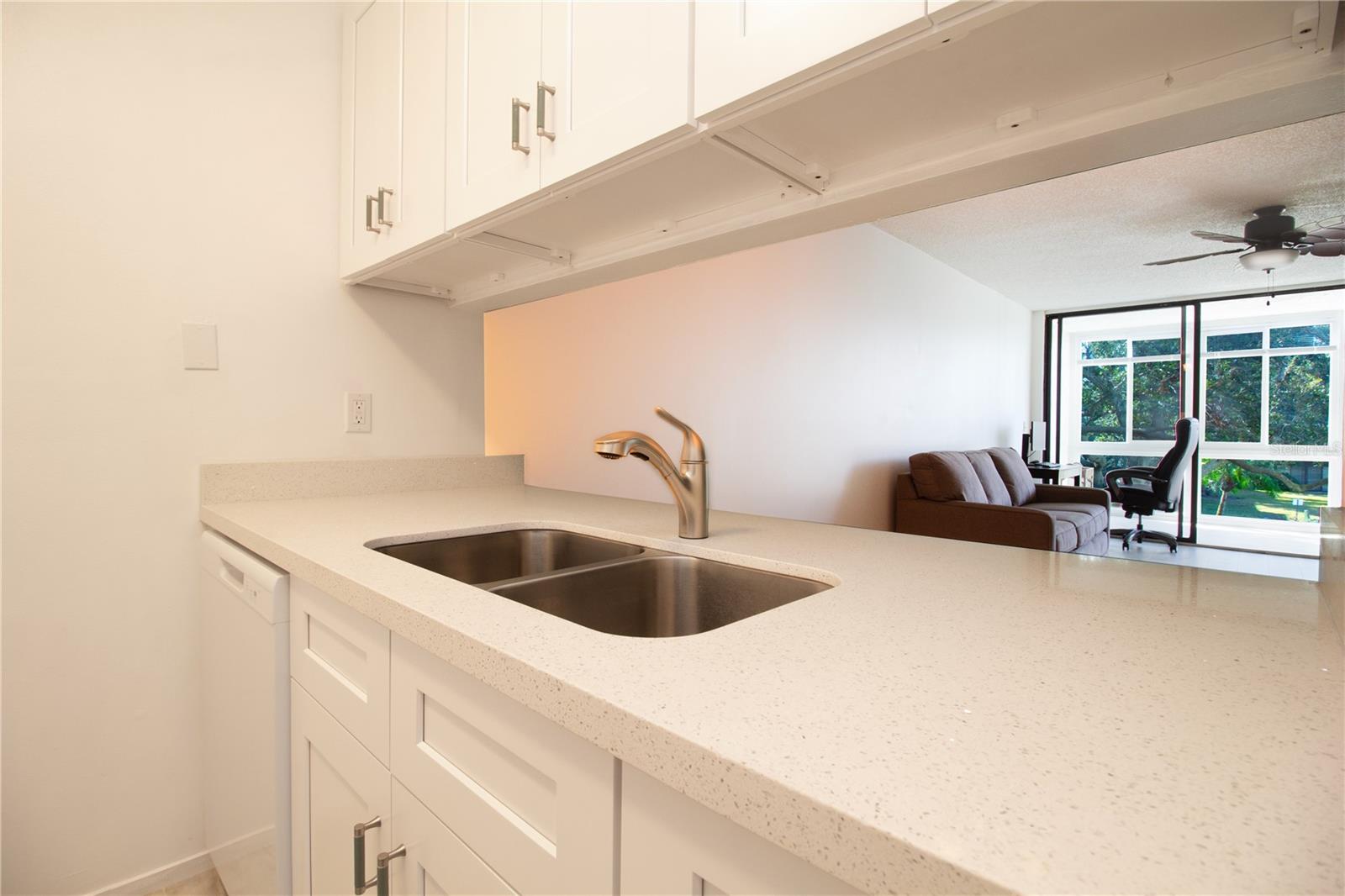 LAKEVIEW OF LARGO - Residential