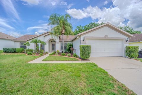 Photo of 4223 Amber Ridge Lane, Valrico, FL 33594 (MLS # L4954048)