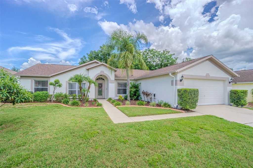 Photo of 4223 Amber Ridge Lane, Valrico, FL 33594 (MLS # L4954048)