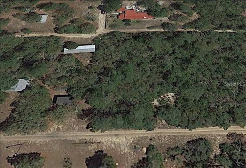 NE 154TH TERRACE FORT MC COY FL 32134