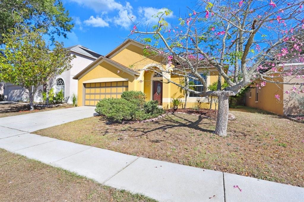 COPPER RIDGE - Residential