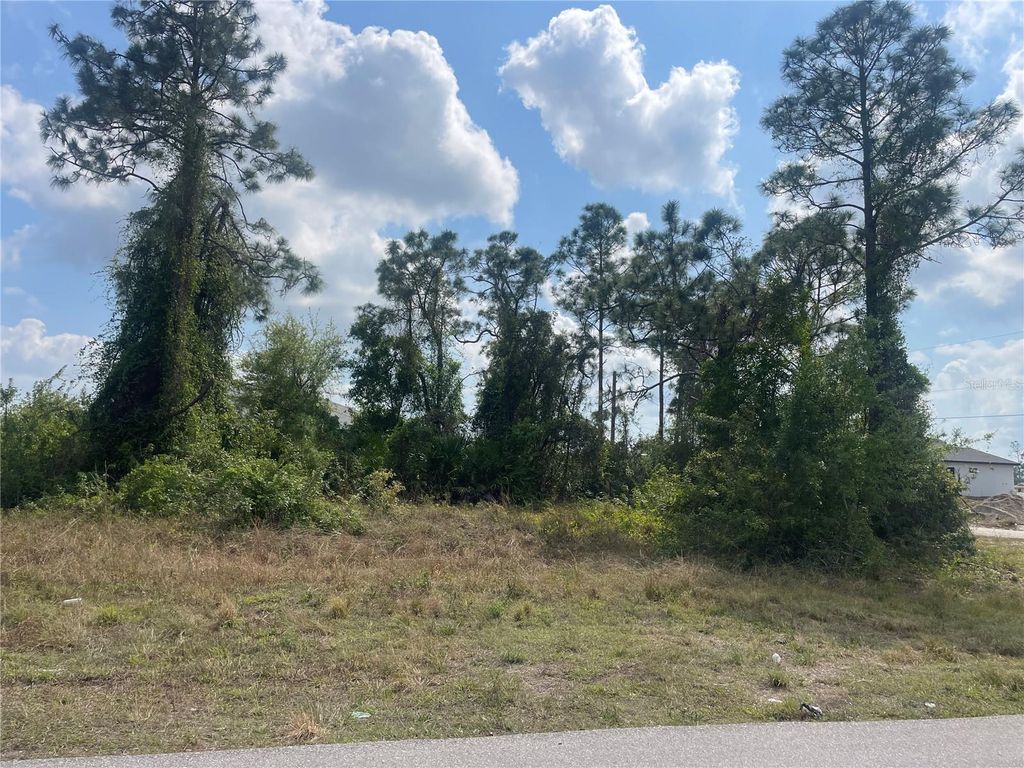 Photo of 1054 Albert Avenue, Lehigh Acres, FL 33971 (MLS # TB8501629)