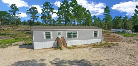Photo of 14151 SE 68th Lane, Morriston, FL 32668 (MLS # OM709685)