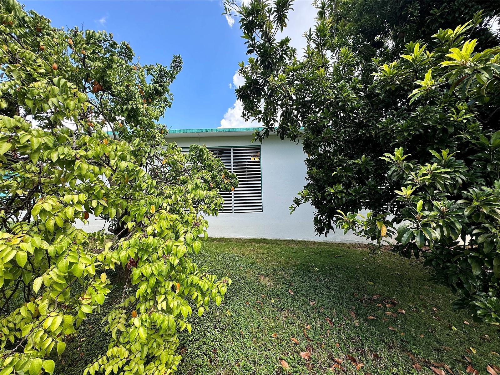 FLORIDA - Residential