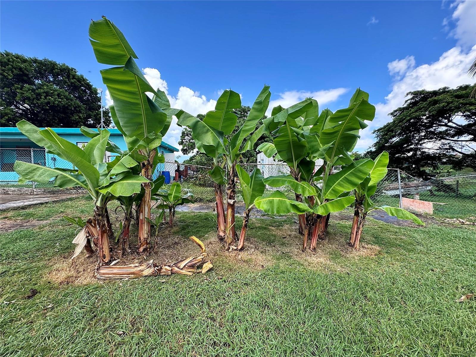 FLORIDA - Residential