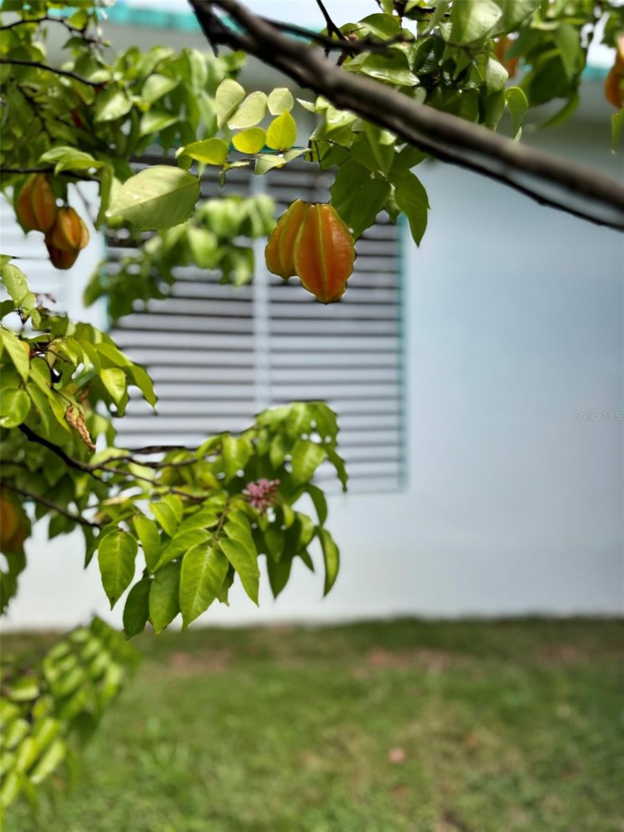 FLORIDA - Residential