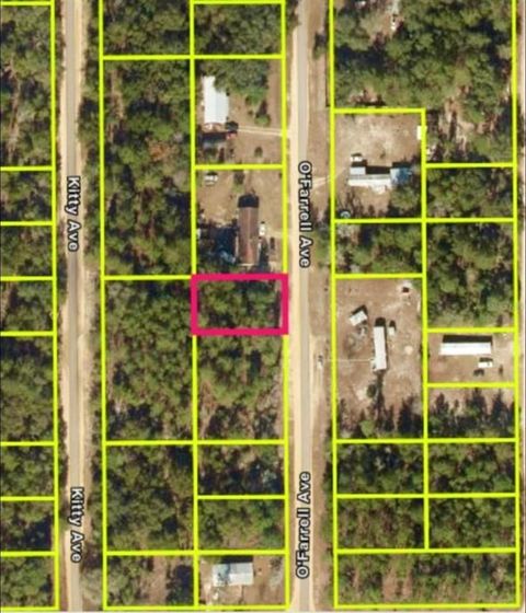 N O'FARRELL AVENUE INTERLACHEN FL 32148