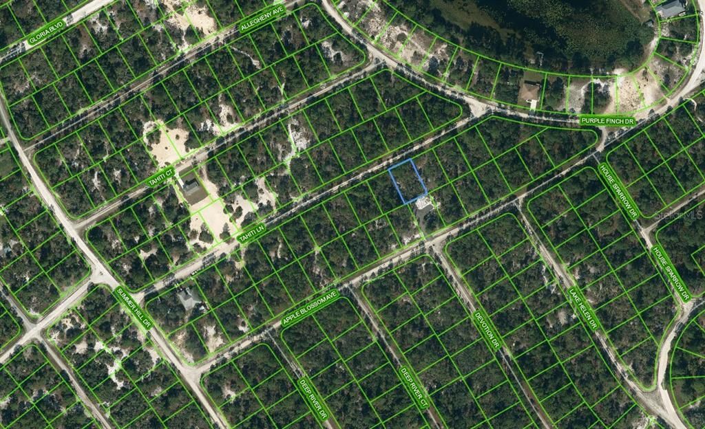 Photo of 423 Tahiti Lane, Lake Placid, FL 33852 (MLS # OM624335)