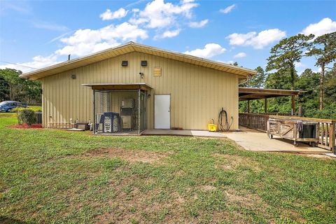 Tiny photo for 25031 County Road 42, Paisley, FL 32767 (MLS # G5108007)