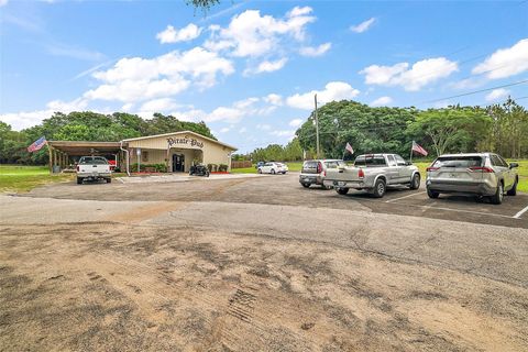 Tiny photo for 25031 County Road 42, Paisley, FL 32767 (MLS # G5108007)