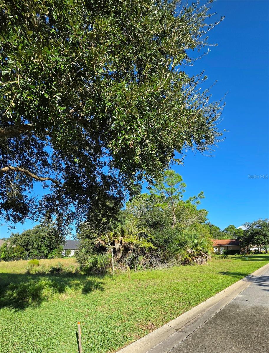 Photo of 57 S Old Oak Drive, Palm Coast, FL 32137 (MLS # FC321414)