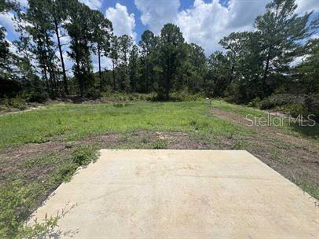 Photo of 69 Malauka Pass, Ocklawaha, FL 32179 (MLS # O6365238)