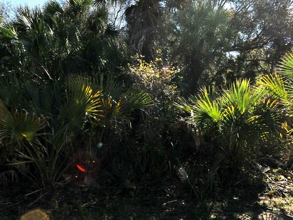 Photo of Lakeport Street, North Port, FL 34288 (MLS # C7525048)