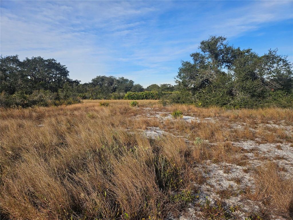 Photo of 625 S Reed Road, Avon Park, FL 33825 (MLS # TB8422093)