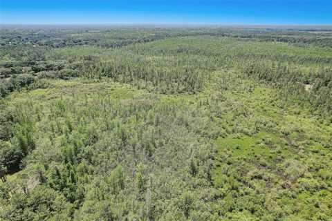 Tiny photo for 7119 State Road 33, Clermont, FL 34714 (MLS # O6409178)