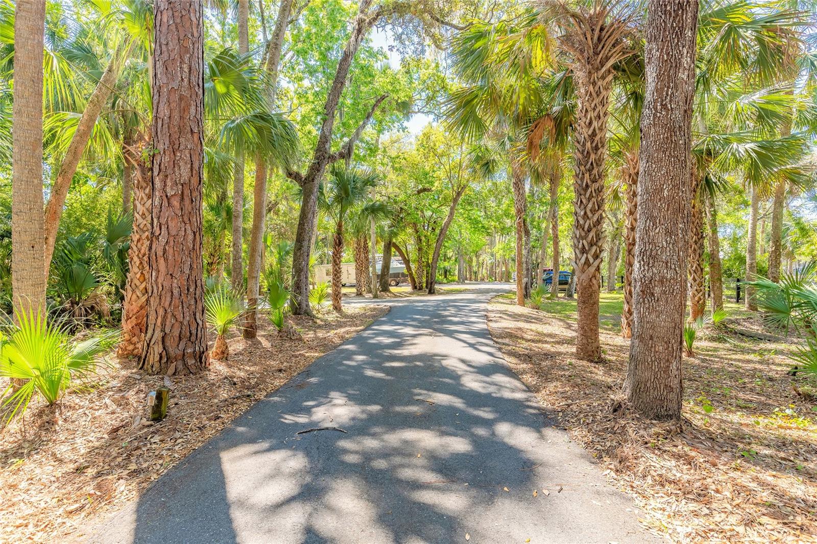 2646 TURNBULL BAY ROAD