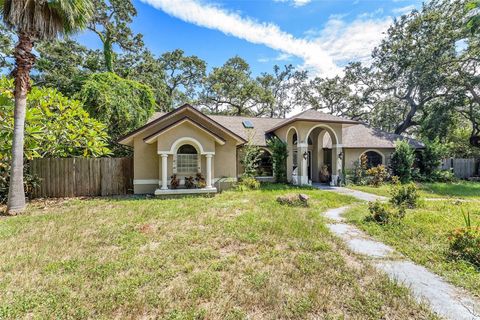 360 10TH AVENUE S SAFETY HARBOR FL 34695