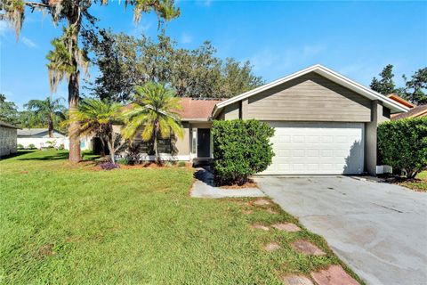 A home in VALRICO