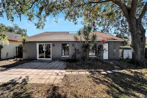 A home in VALRICO