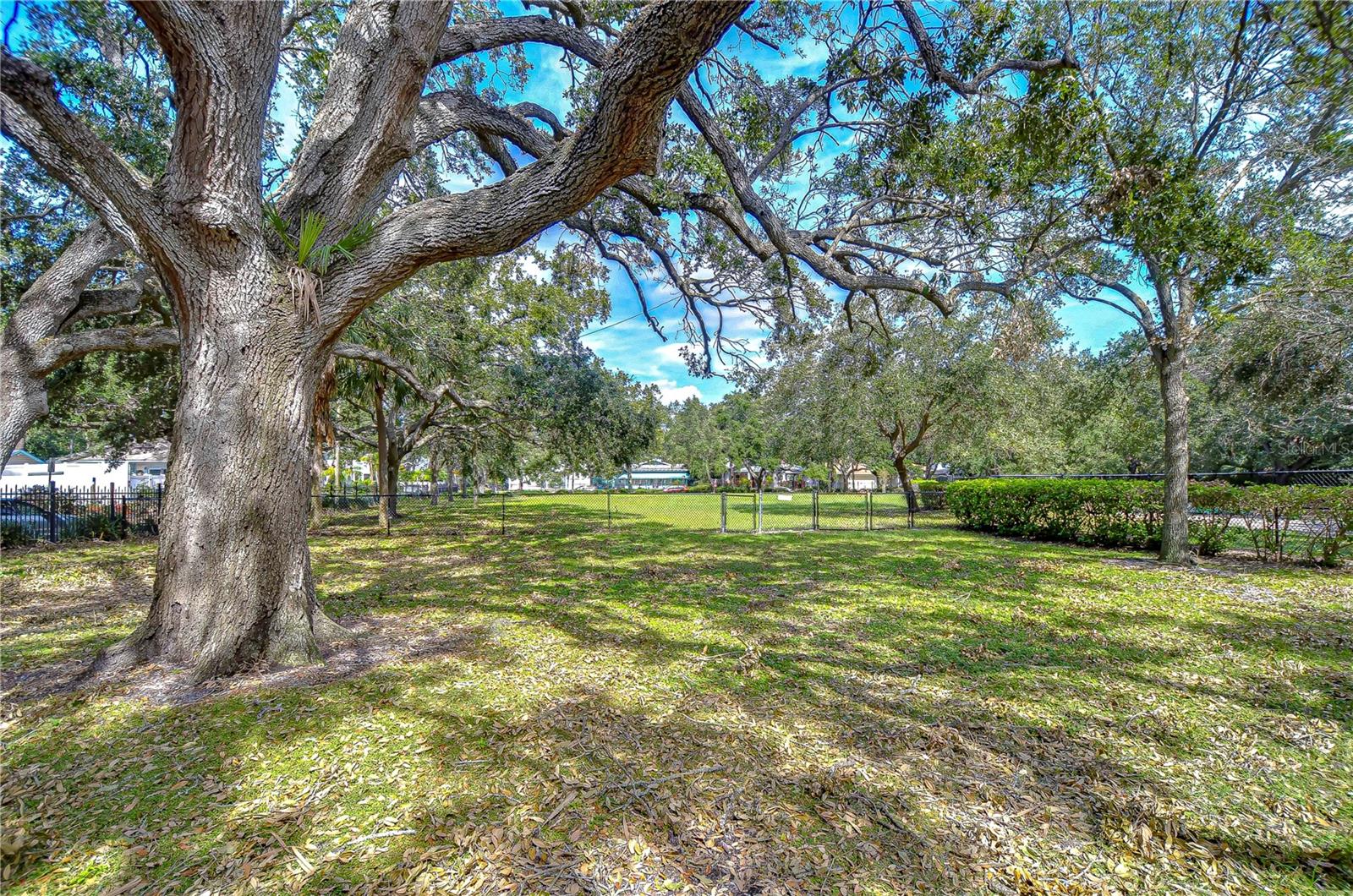 PALMA CEIA PARK - Residential