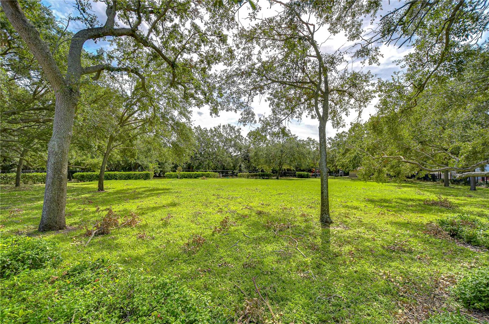 PALMA CEIA PARK - Residential