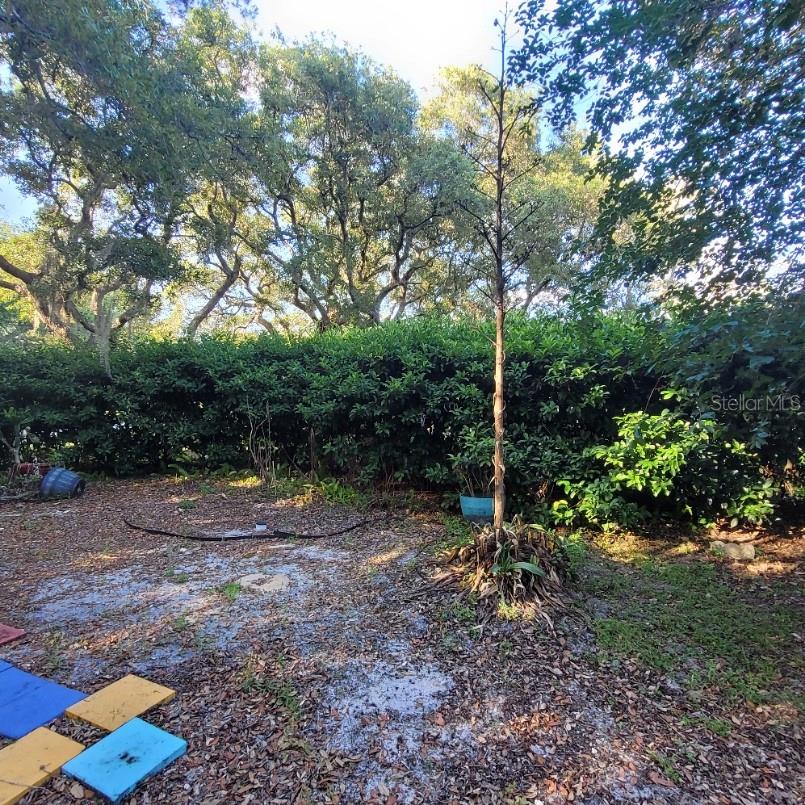 HEMINGWAY VILLAGE - Residential