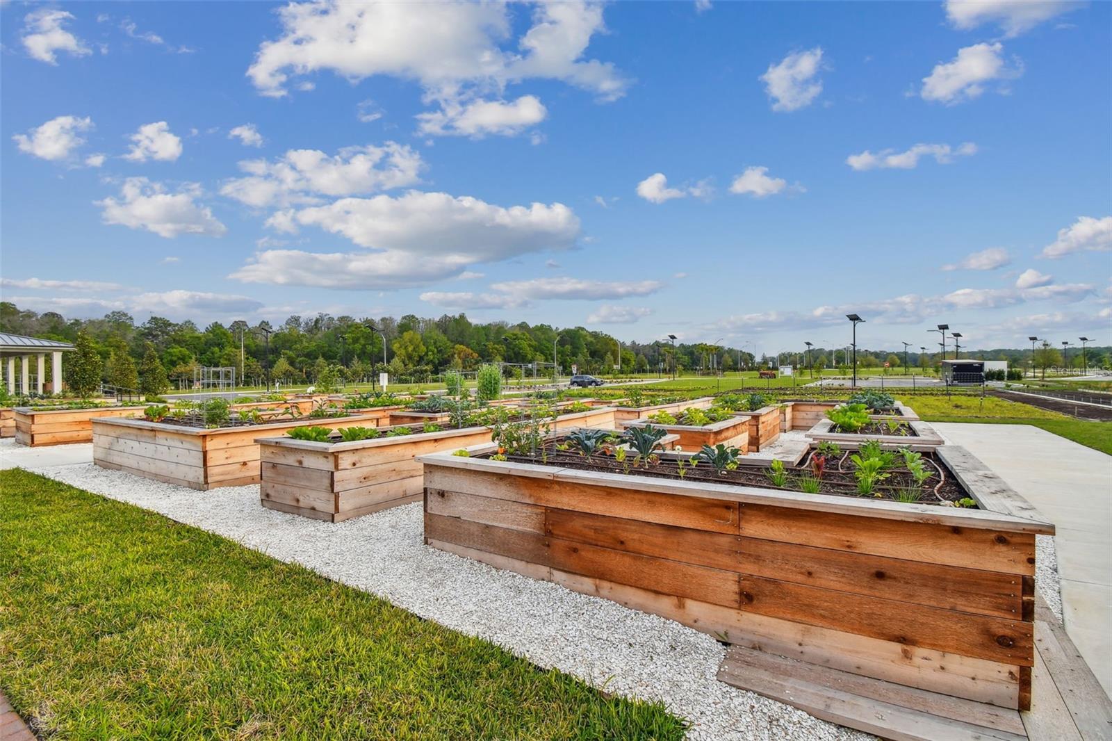 ANGELINE PH 3B-1 - Residential