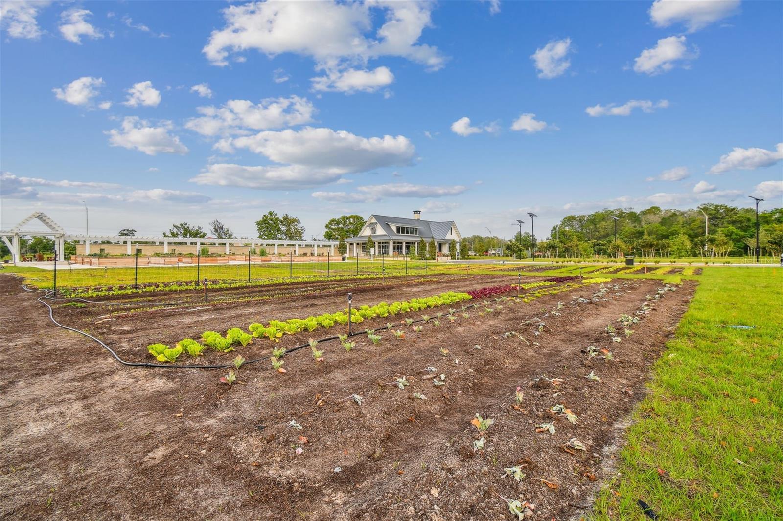 ANGELINE PH 3B-1 - Residential