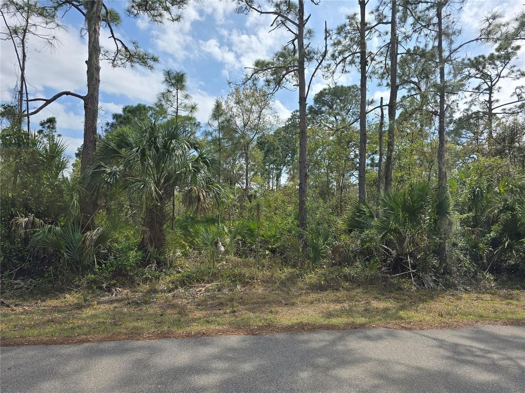 Photo of 14055 Rider Avenue, Port Charlotte, FL 33953 (MLS # C7506820)